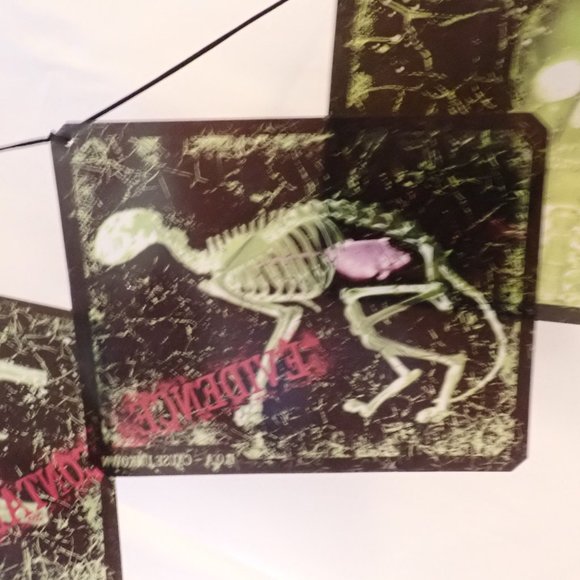 Department56 Halloween X-RAYS/Hanging Banner/Scary/6 X-Rays/70" Long - Picture 3 of 5